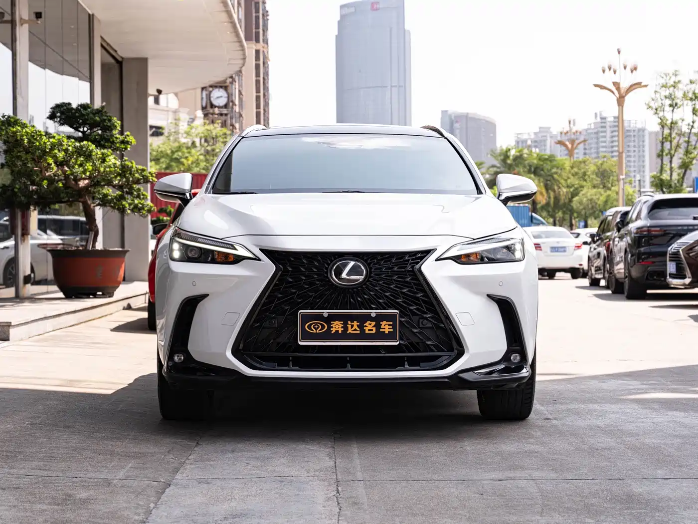 LEXUS NX