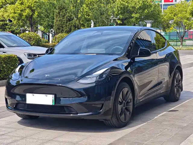 Tesla Model Y 2022 Rear-Wheel Drive Version