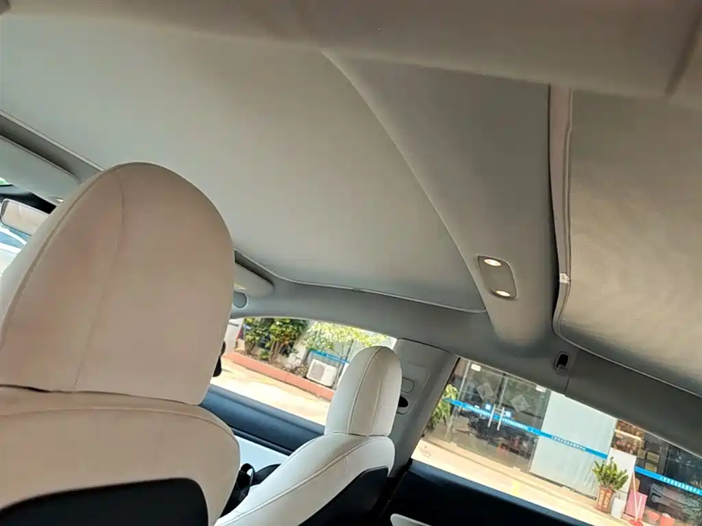 TESLA MODEL 3 (IMPORTED)