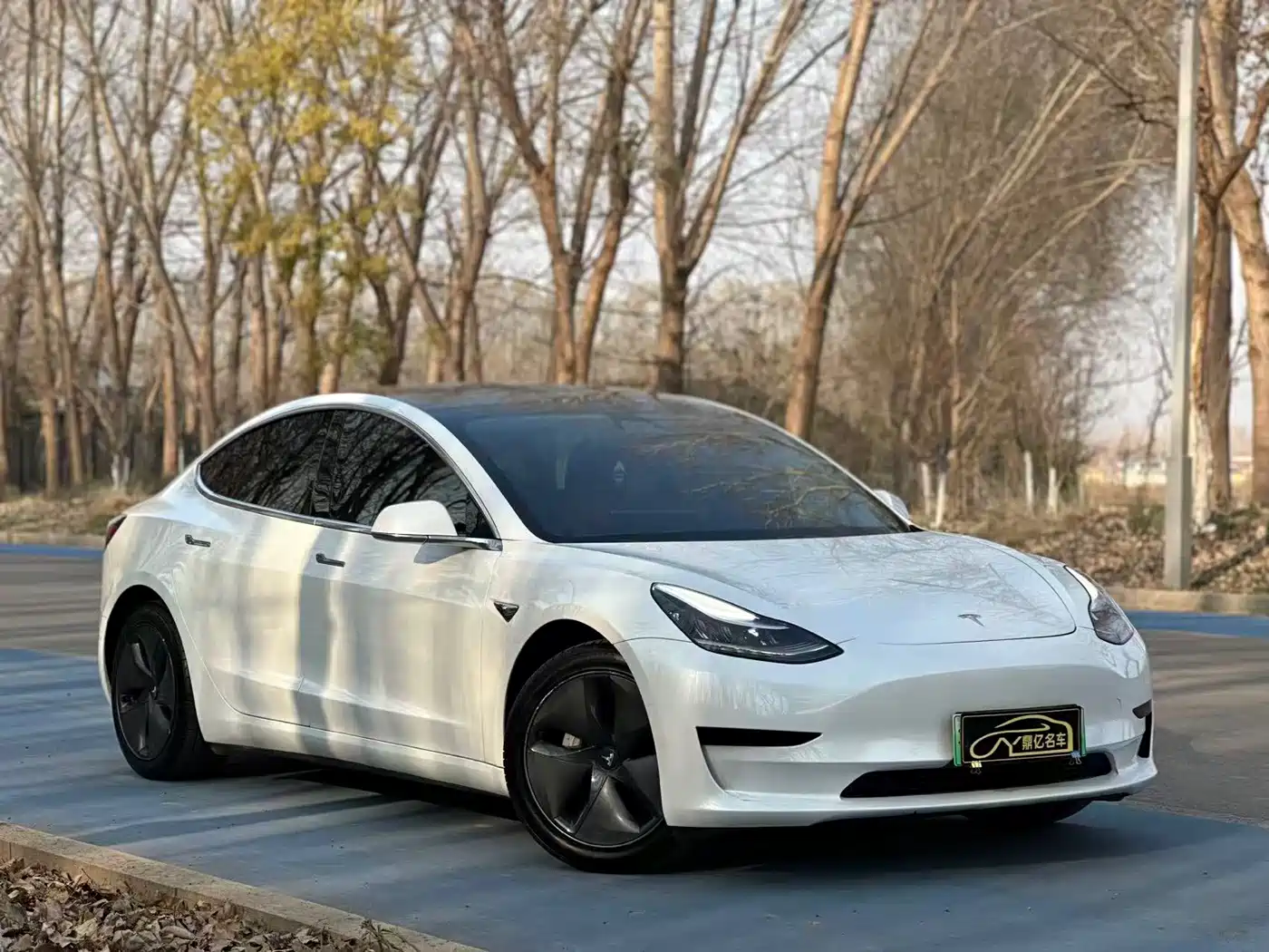 TESLA MODEL 3
