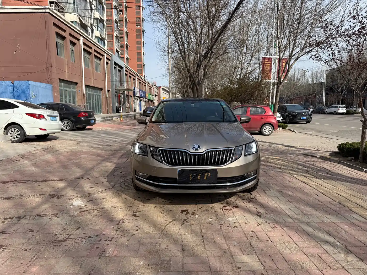 Škoda Octavia 2018 TSI230 DSG Luxury Edition фото 3