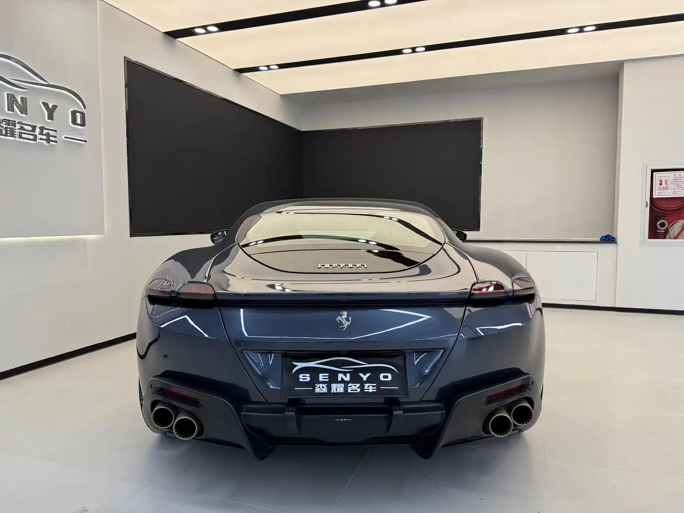 Ferrari Roma 2021 2020 3.9T V8