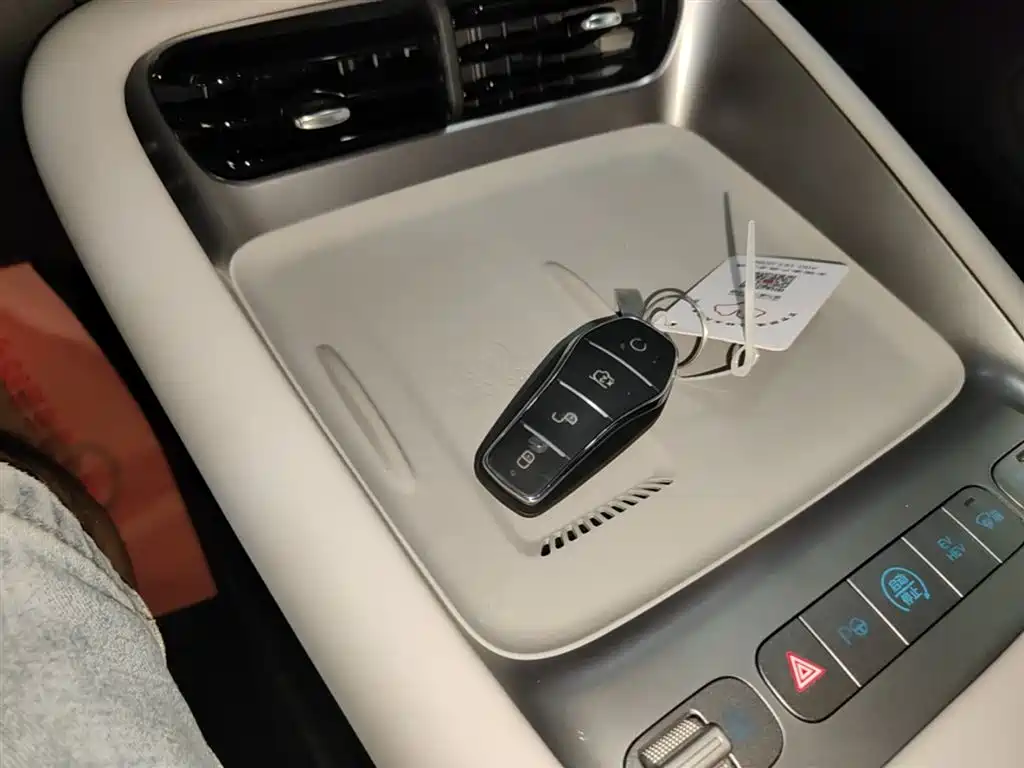 BYD Sealion 06 New Energy 2025 DM-i 170 Pilot Pro Edition фото 9