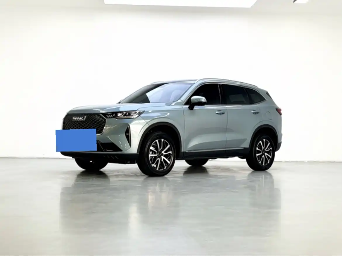 Haval H6 2022 3rd Gen 1.5T Auto 2WD Pro