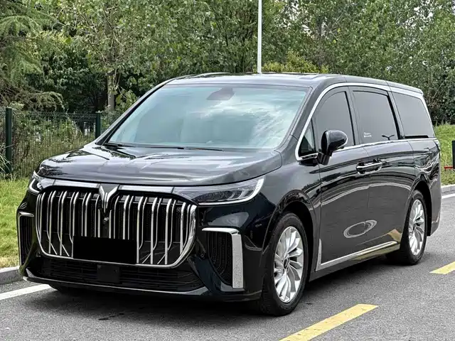  Voyah Auto Voyah Dreamer 2022 Low Carbon Edition Home