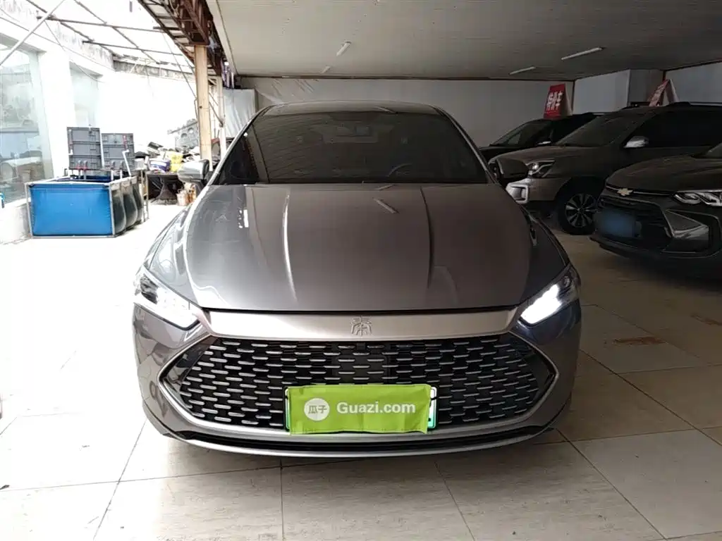 BYD Qin PLUS 2024 Glory Edition DM-i 55KM Leading фото 3