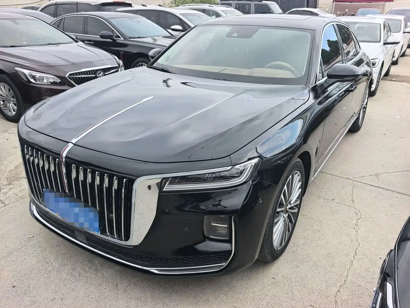 Hongqi H9 2020 2.0T Smart Connection Qi Chang Edition