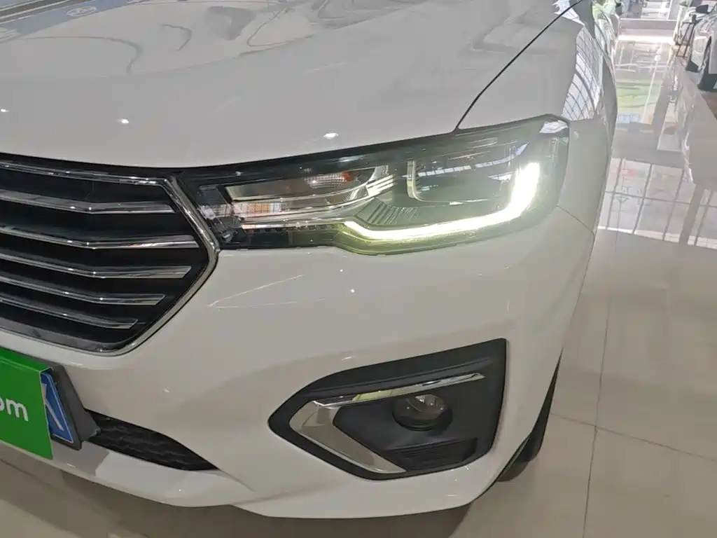 Фото 24 - Haval H2s