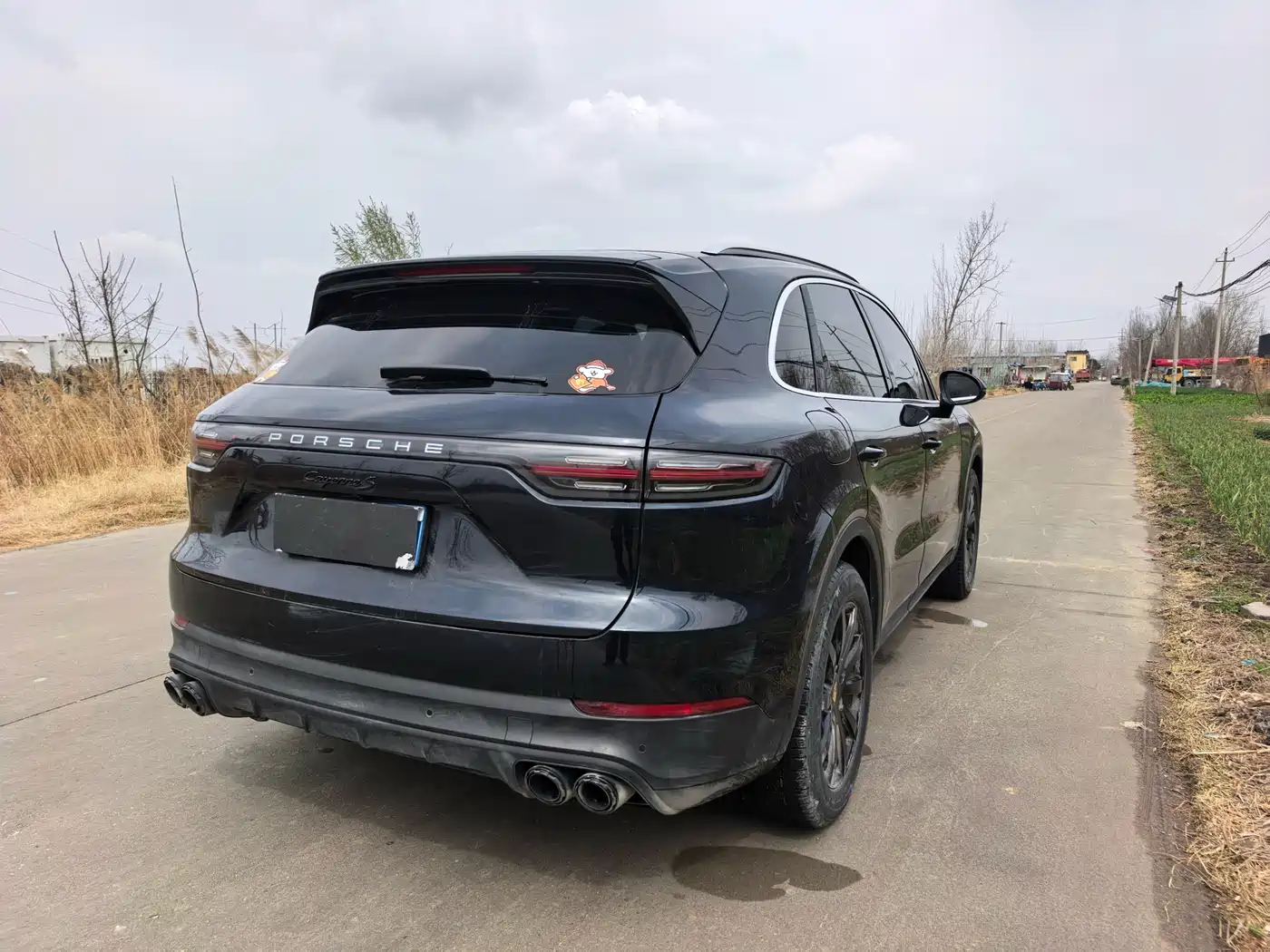 PORSCHE CAYENNE NEW ENERGY