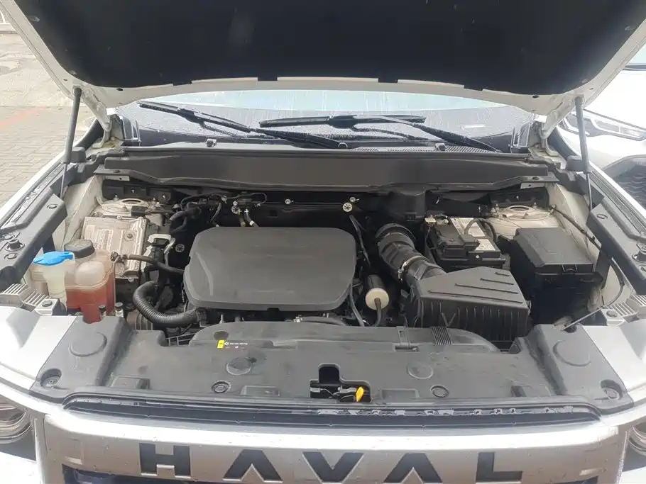 Haval Big Dog 2024 1.5T DCT Border Collie Edition фото 10