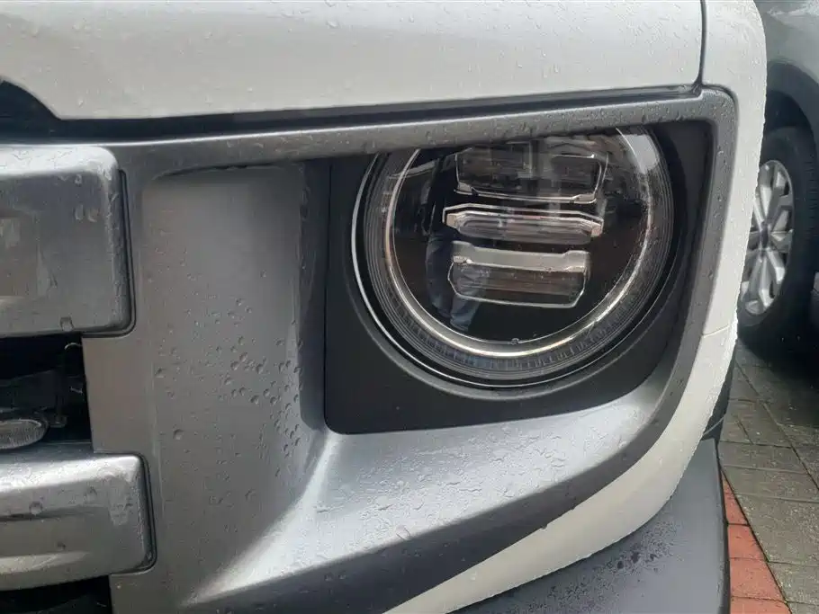 Haval Big Dog 2024 1.5T DCT Border Collie Edition фото 5