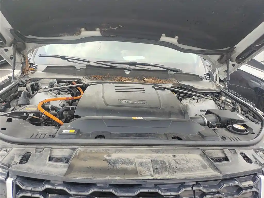 Land Rover Range Rover Sport PHEV 2019 P400e HSE фото 20