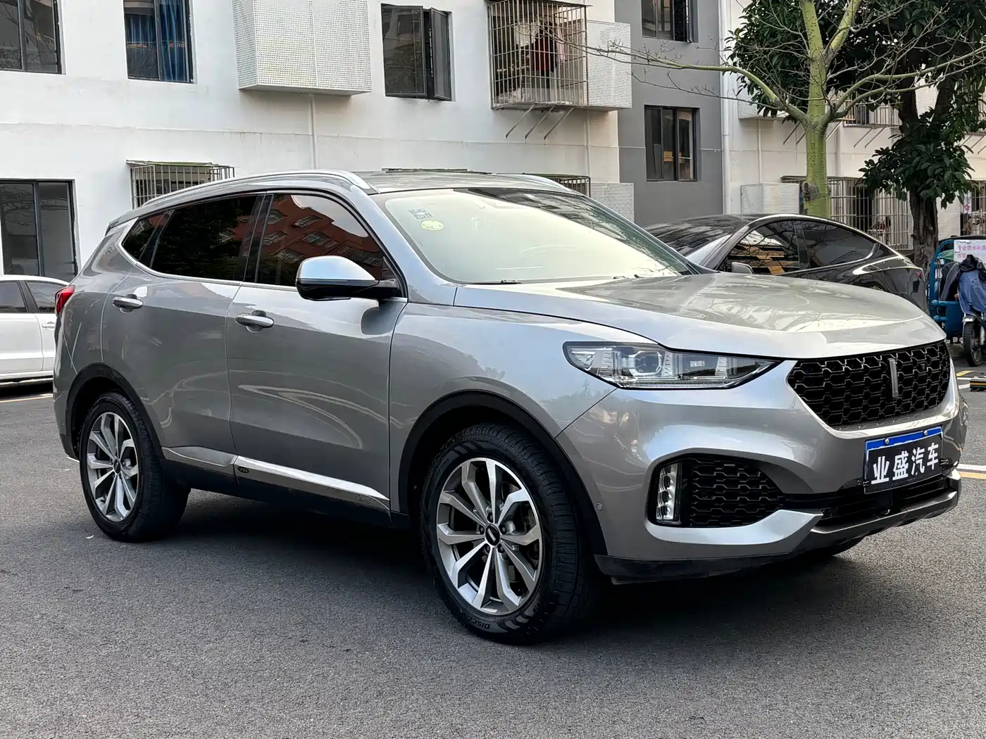 WEY VV6 2019 2018 2.0T 4WD Flagship China V