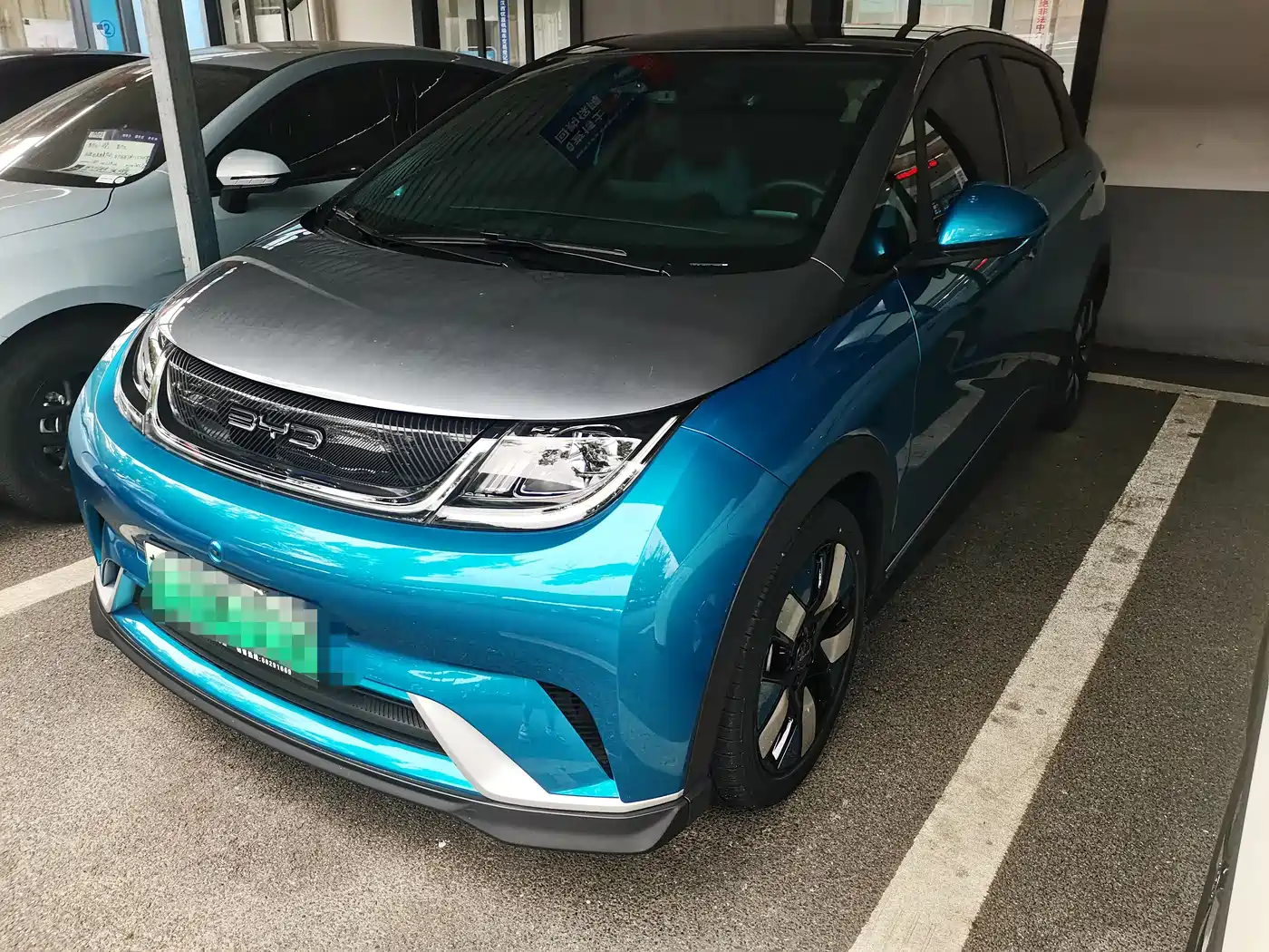 BYD Dolphin 2021 401km Knight Edition