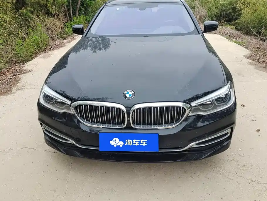 BMW 5 Series 2020 530Li Leading M Sport Package фото 2
