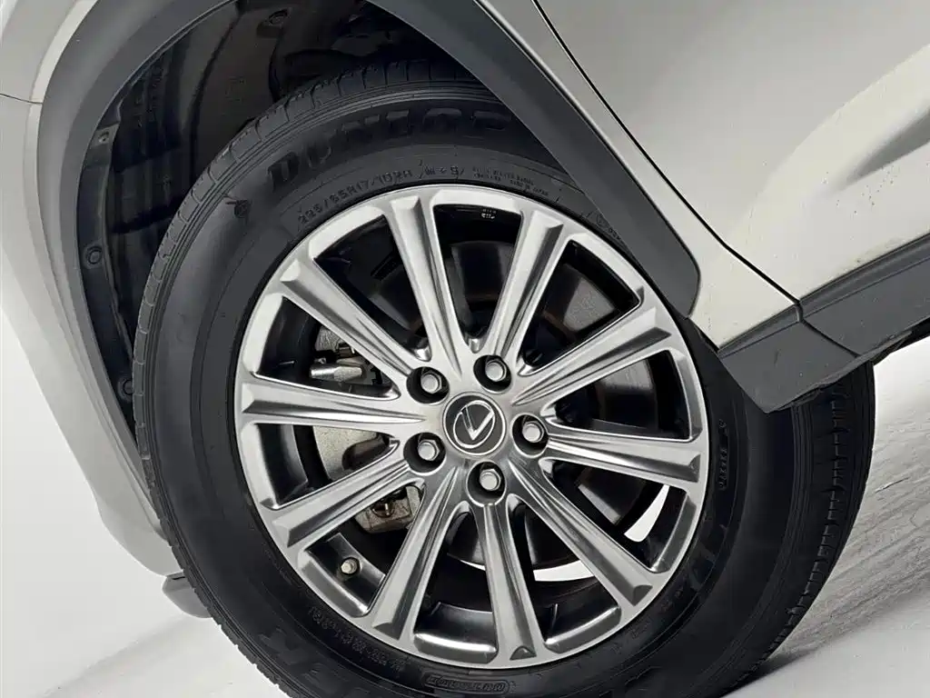 Lexus NX 2020 200 FWD Fengyi Edition China VI фото 26
