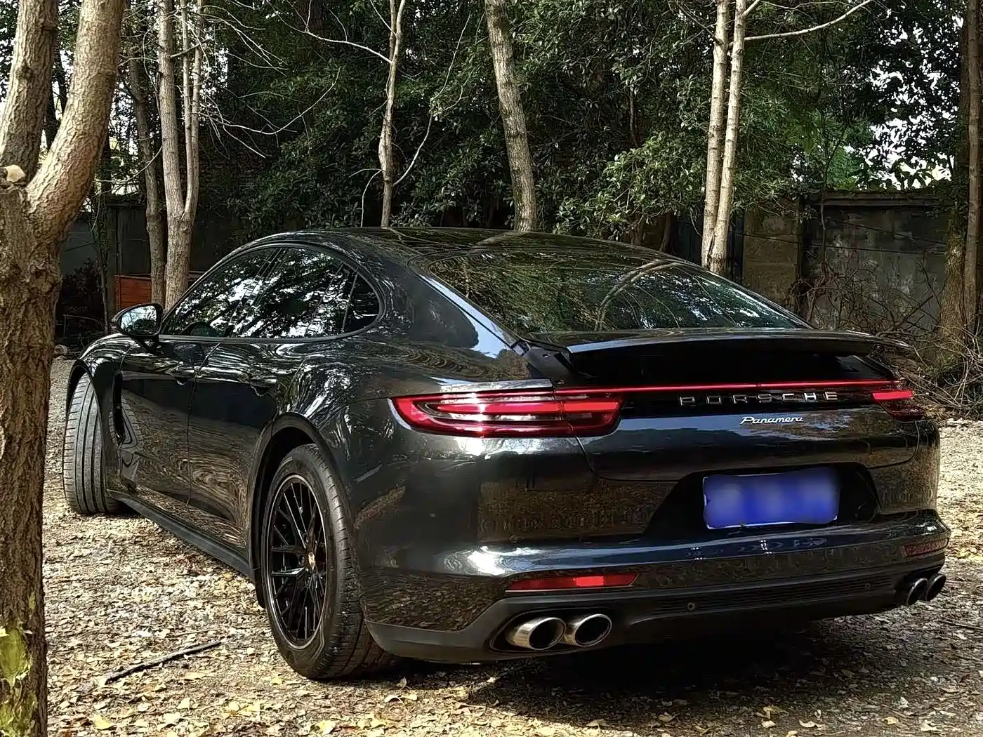 Porsche Panamera 2017 Panamera 3.0T фото 8