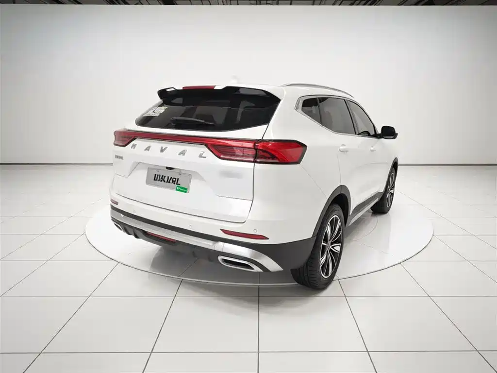 Haval H6 2023 National Trend Edition 1.5T Automatic Champion фото 7