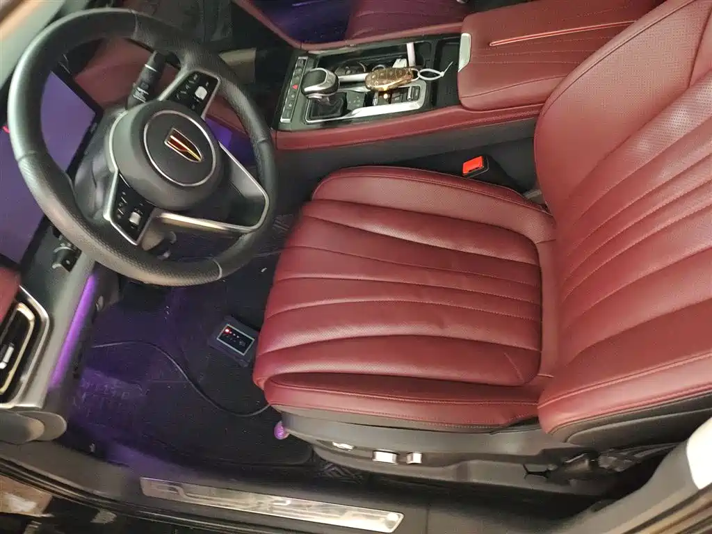 Hongqi H5 2023 2.0T Auto Smart Connect Flag Comfort фото 16