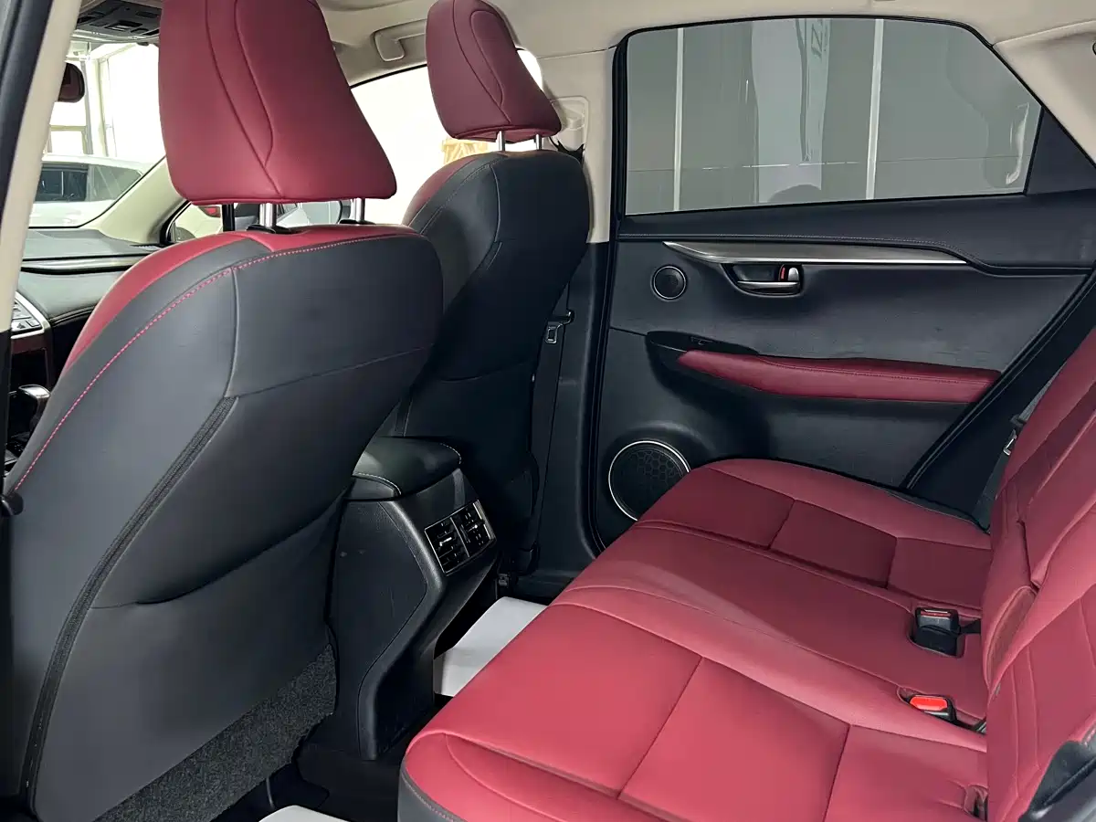Lexus NX 2020 200 AWD F Sport China V фото 18