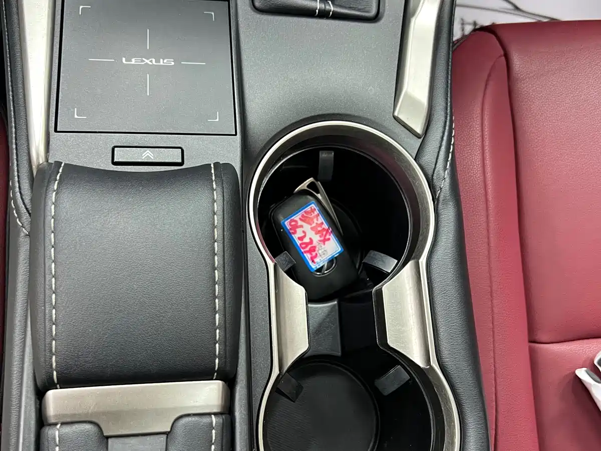 Lexus NX 2020 200 AWD F Sport China V фото 15