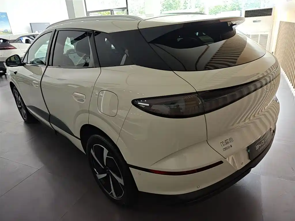 BYD Sealion 06 New Energy 2025 DM-i 170 Pilot Pro Edition фото 5