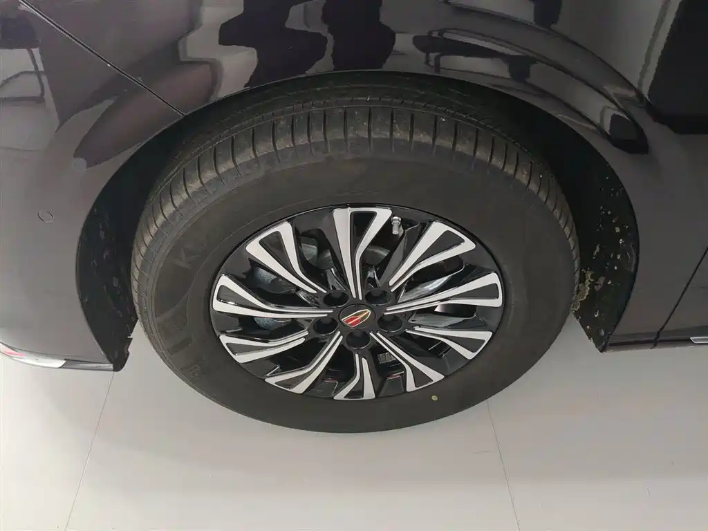 Hongqi HQ9 PHEV 2024 Model 2.0T AWD Luxury Edition фото 25