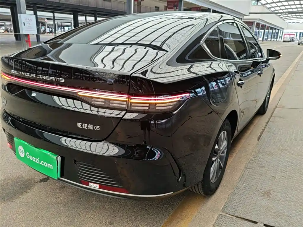 BYD Destroyer 05 2024 Glory Edition DM-i 55KM Luxury фото 8