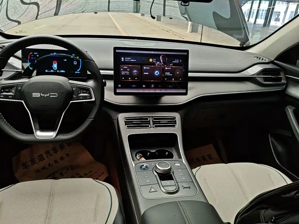 BYD Destroyer 05 2024 Glory Edition DM-i 55KM Luxury фото 13