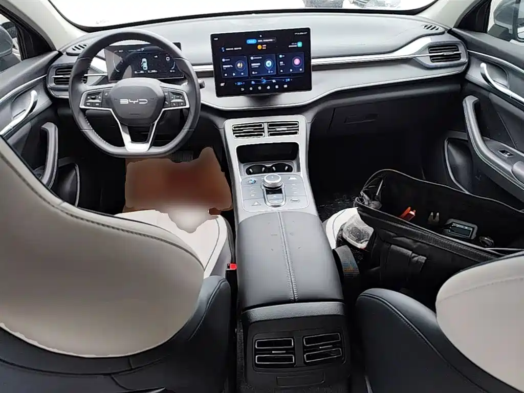 BYD Destroyer 05 2024 Glory Edition DM-i 55KM Luxury фото 16