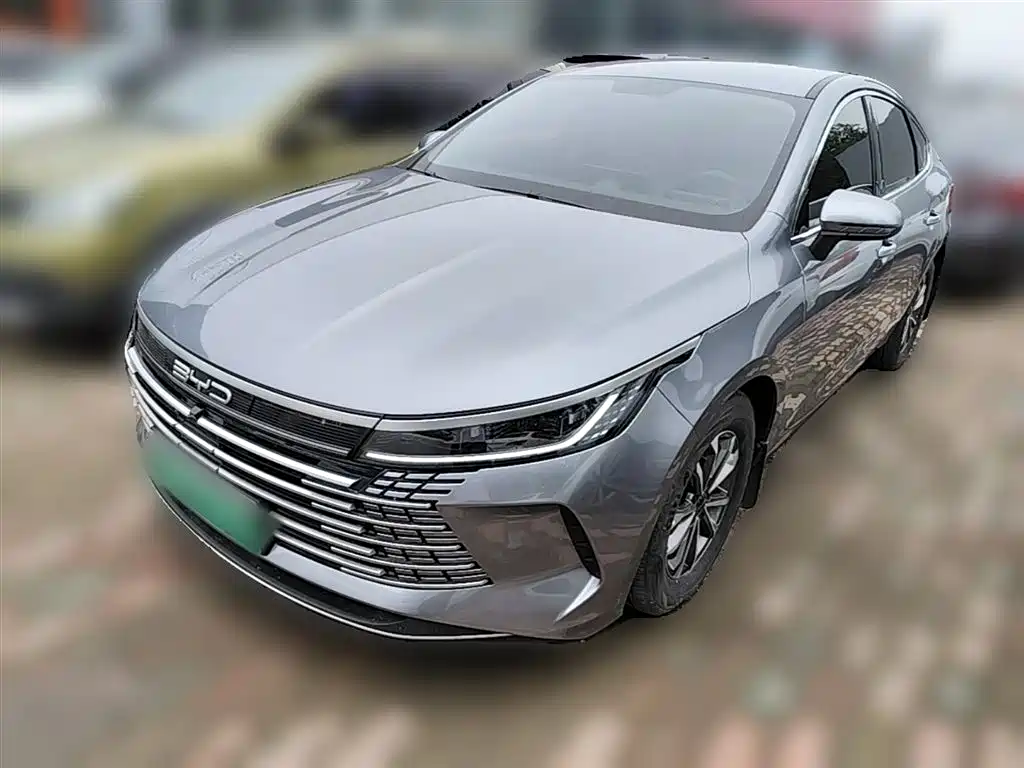 BYD Destroyer 05 2024 Glory Edition DM-i 55KM Luxury