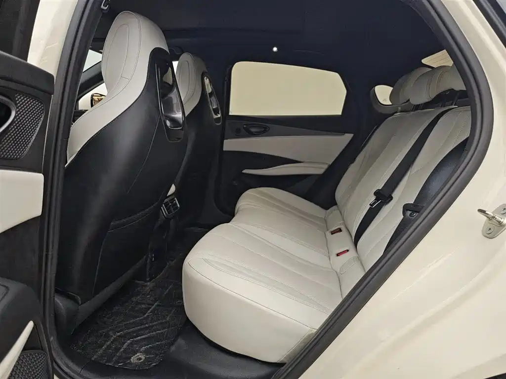 BYD Seal 06 New Energy 2024 DM-i 120KM Honor фото 12
