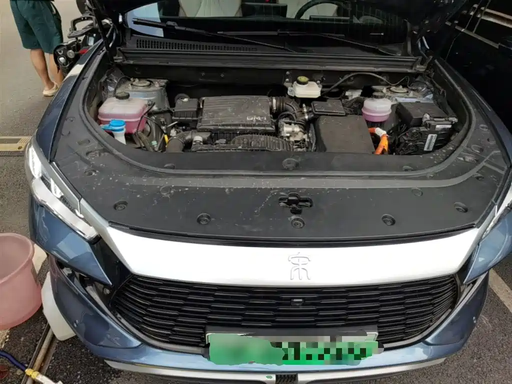 BYD Song Pro New Energy 2024 Glory Edition DM-i 71KM Leading фото 20