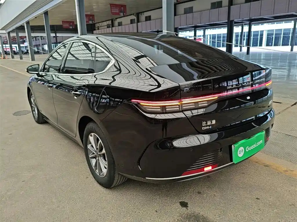 BYD Destroyer 05 2024 Glory Edition DM-i 55KM Luxury фото 5