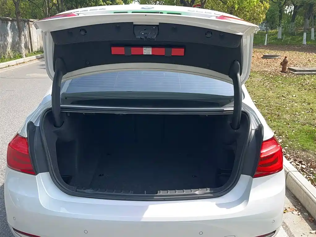 BMW 3 Series 2018 320Li Fashion Style фото 16