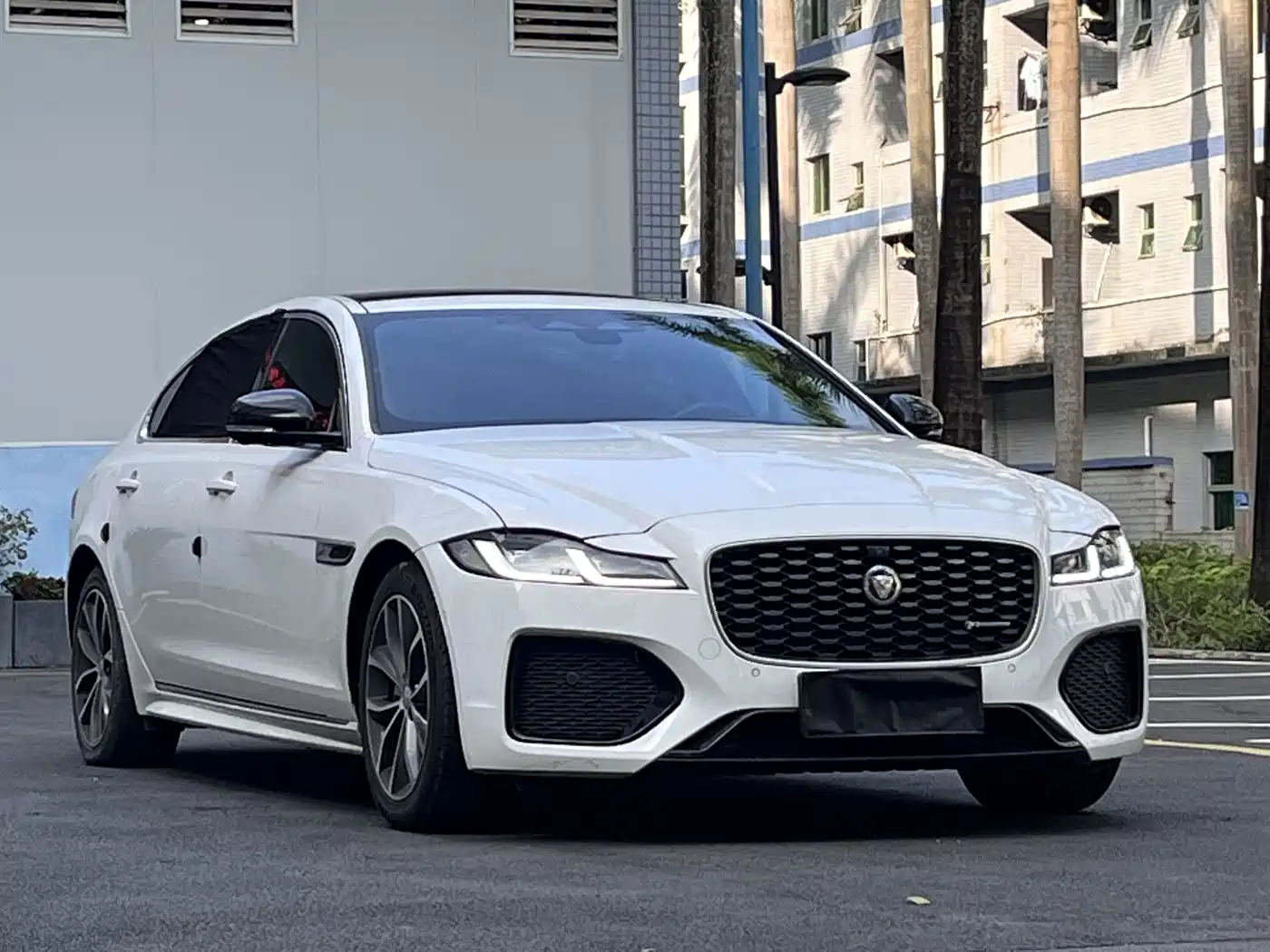 Jaguar XFL 2021 XFL 2.0T P250 2WD Elite Sport Edition фото 3
