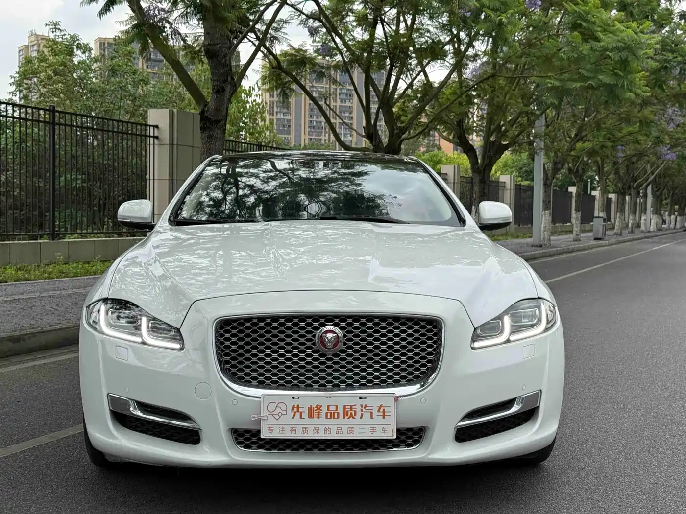 JAGUAR XJ