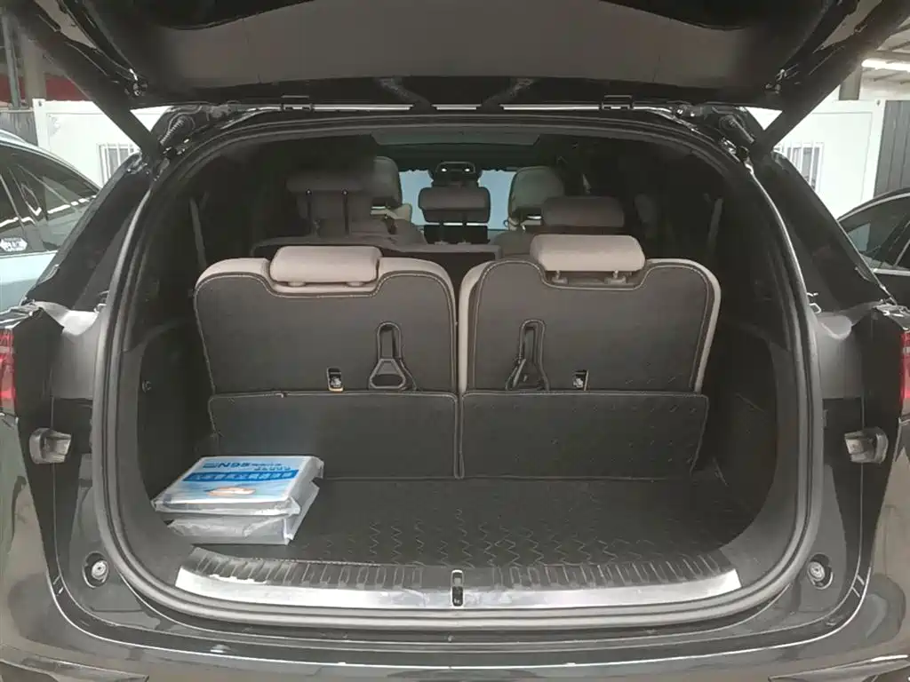 BYD Tang New Energy 2024 EV Glory Edition 730KM Premium фото 19