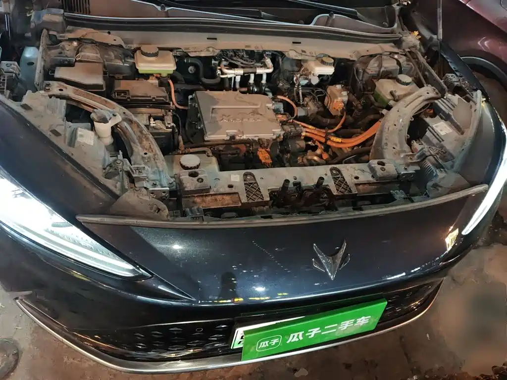 ARCFOX Alpha S 2024 2023 Model 525 Forest Edition 175kW
