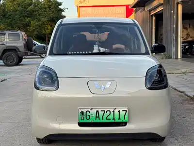 Wuling Hongguang MINI EV