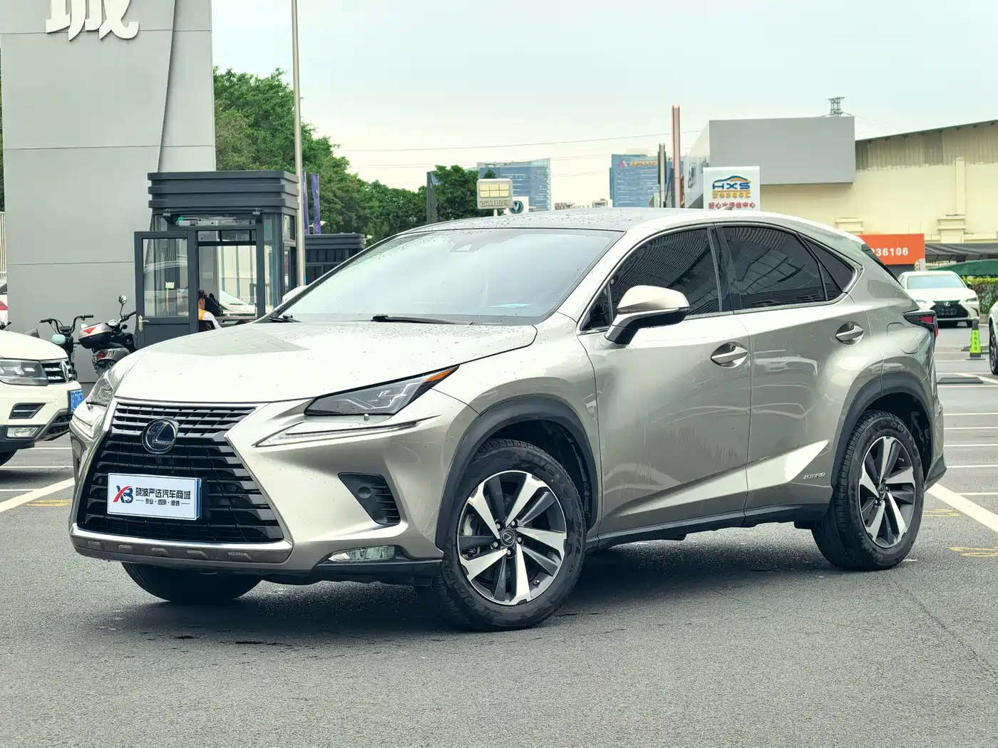 LEXUS NX