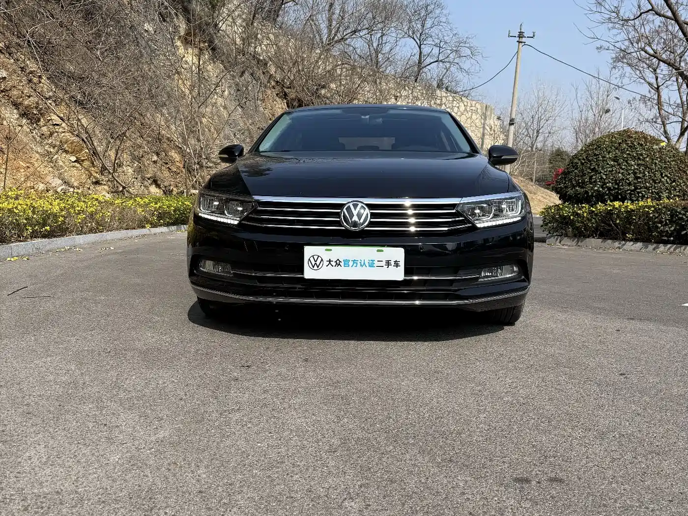 Volkswagen Magotan 2019 330TSI DSG Luxury Class China VI фото 2