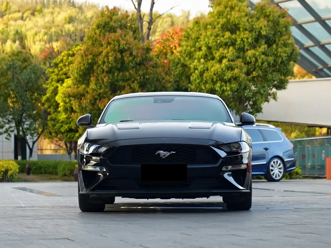FORD MUSTANG