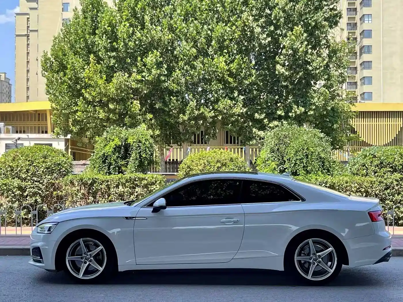Audi A5 (Import) 2017 Coupe 40 TFSI Style фото 3