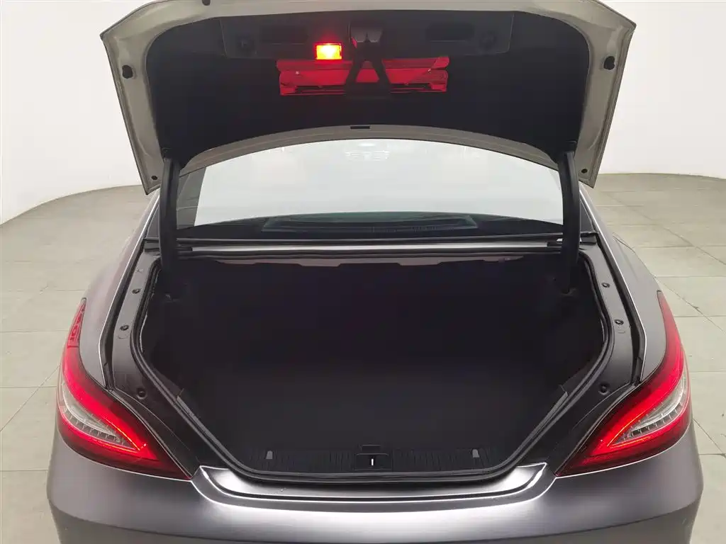 Mercedes-Benz CLS 2015 CLS 320 фото 16