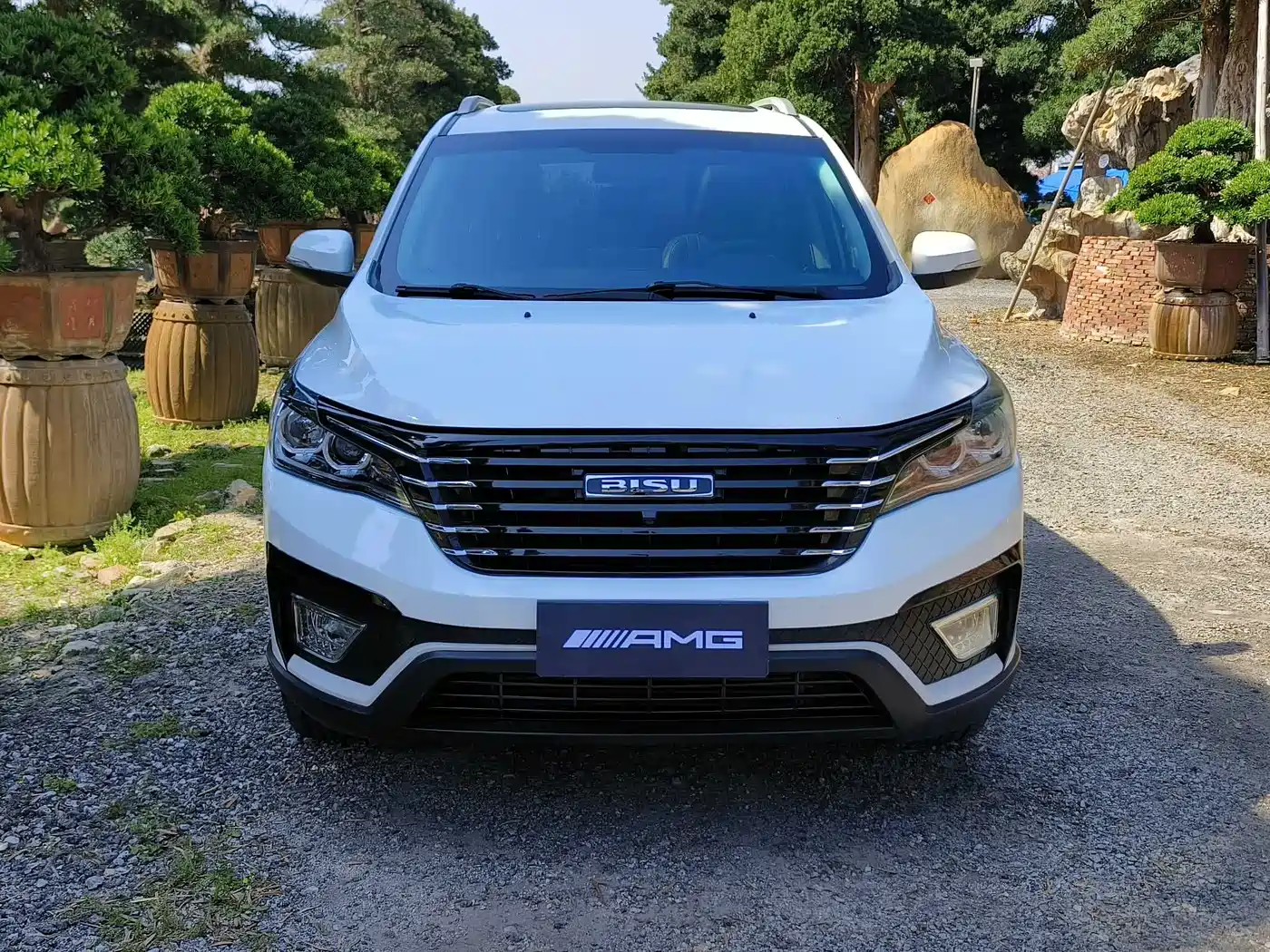 BISU AUTO SPECIFIC SPEED T5