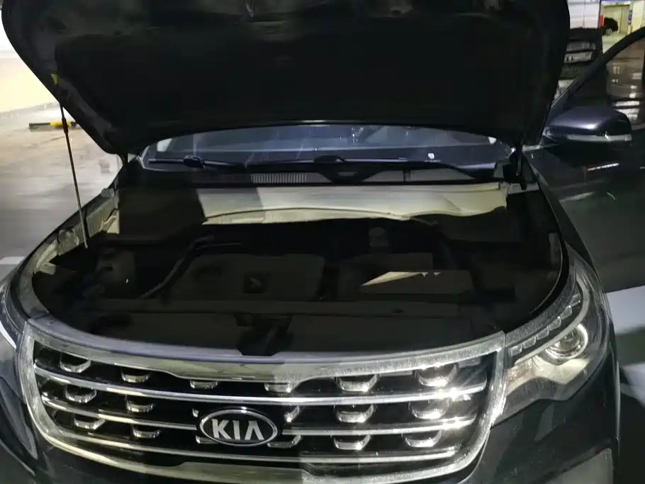 Kia Sportage 2019 2.0L Automatic Smart Luxury Edition фото 10