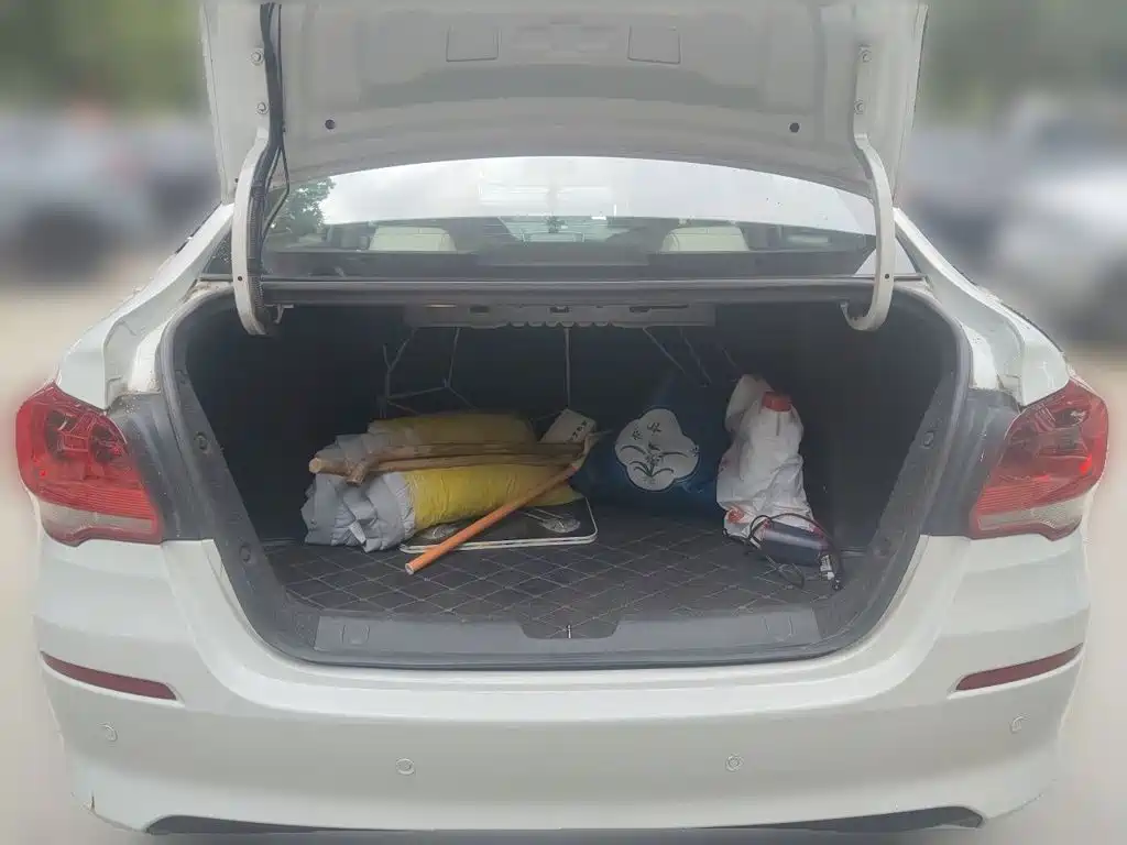 صورة 20 - Chevrolet Cavalier