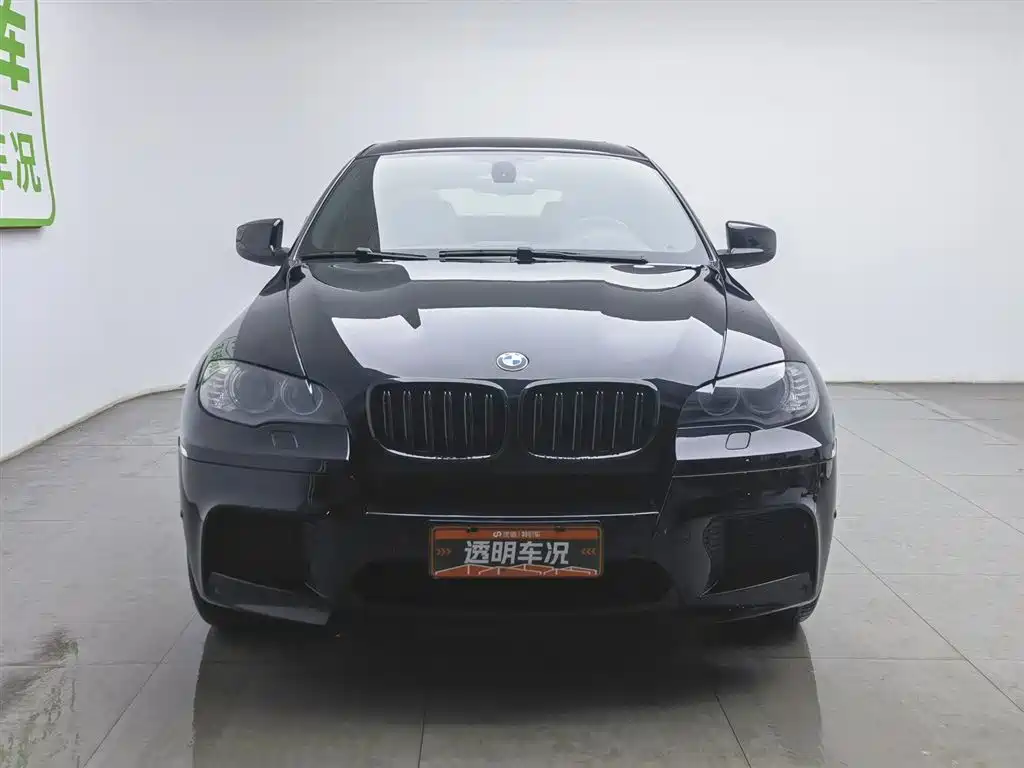 BMW X6 M 2010 X6 M фото 3