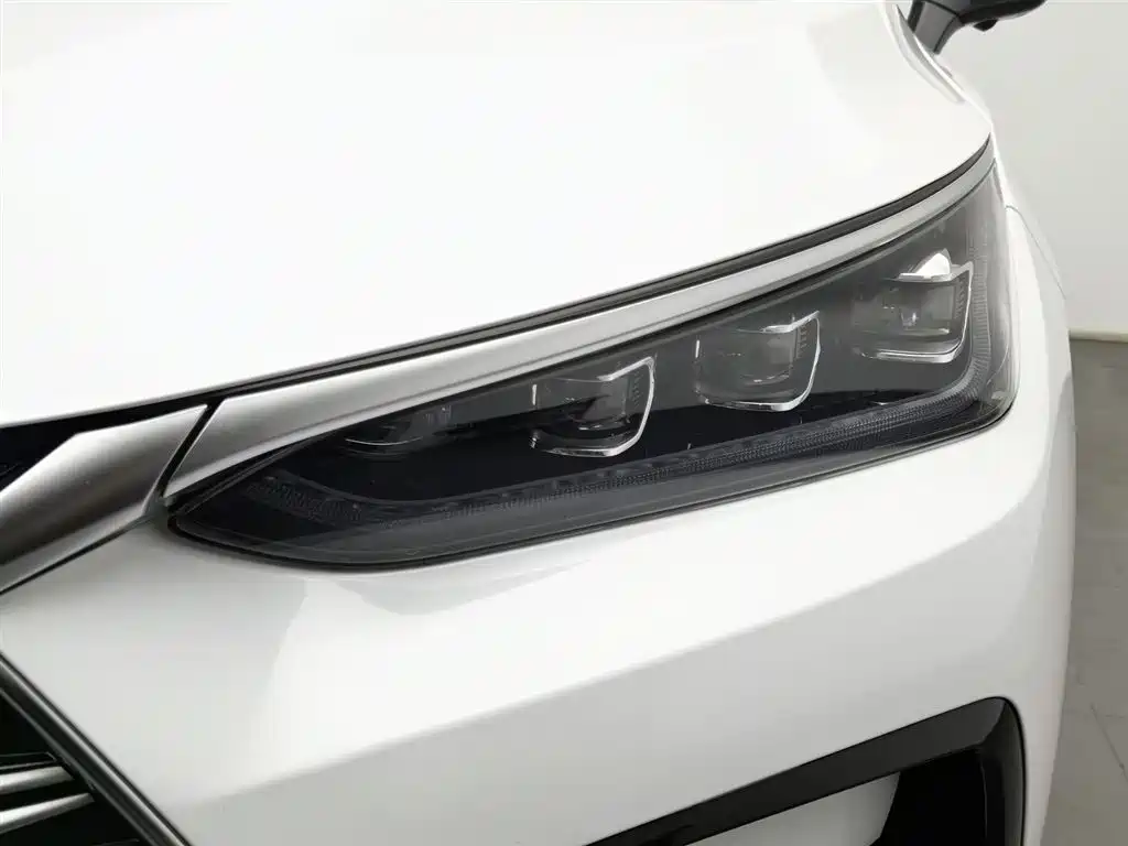 BYD Tang New Energy 2023 Model DM-i Champion Edition 112KM Premium фото 7